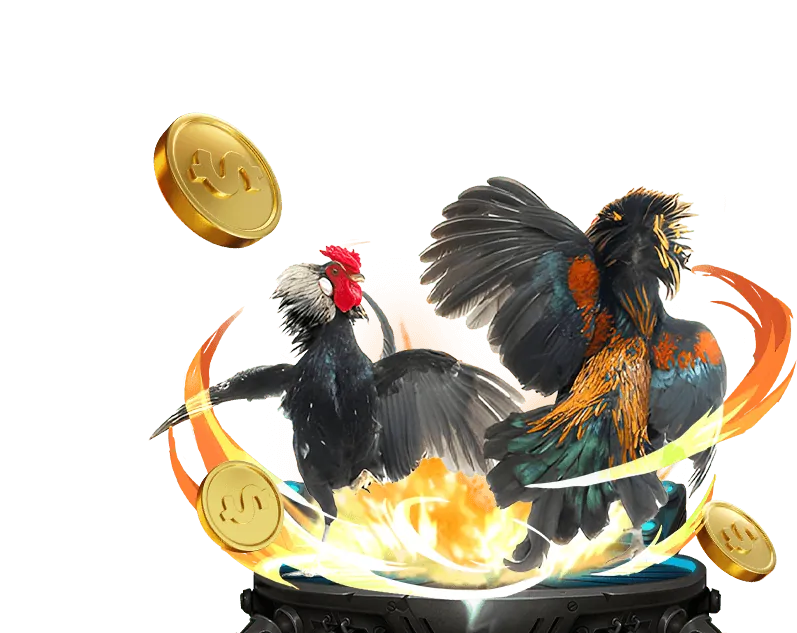 Khuyến mãi đá gà độc quyền tại BK8